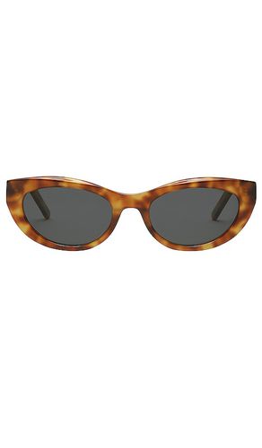 Gafas de sol estella en color marrón talla all en & - Brown. Talla all - Banbe - Modalova