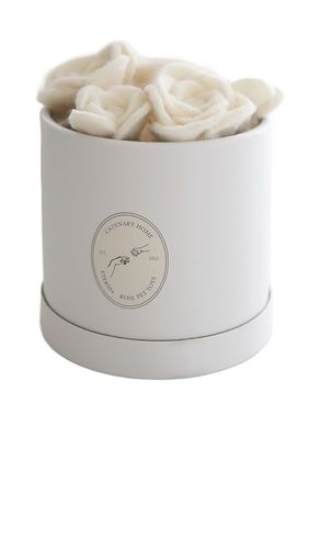 Flora Eterna Pet Toy Box in - Catenary Home - Modalova