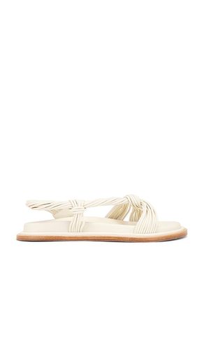 Iverly Knot Sandal in . Size 38. Also in 40 - Acler - Modalova