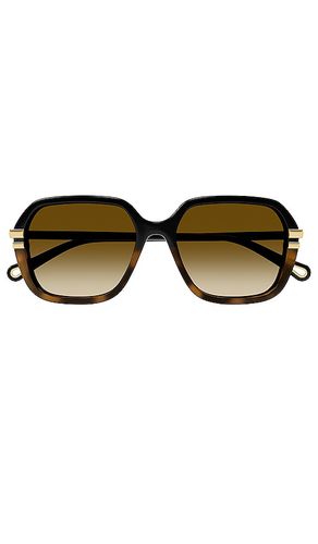 West square sunglasses in color brown size all in & - Brown. Size all - Chloe - Modalova