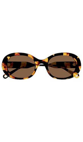 Lilli oval sunglasses in color brown size all in & Brown - Brown. Size all - Chloe - Modalova