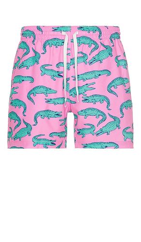 The Glades 5.5 Classic Swim Trunk in . Size S, XXL/2X - Chubbies - Modalova