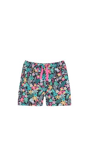 The lil blooms swim trunk in color green size 2 in & - Green. Size 2 (also in 3, 4, 5, 6) - Chubbies - Modalova