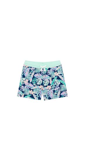 The tiny night faunas swim stuck in color size 3 in - . Size 3 (also in 4, 5, 6) - Chubbies - Modalova
