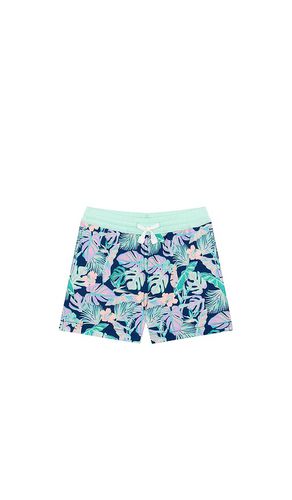 Trunks natación en color talla 3 en - Navy. Talla 3 (también en 5, 6) - Chubbies - Modalova