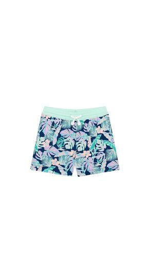 Trunks natación en color talla 3 en - Navy. Talla 3 (también en 6) - Chubbies - Modalova