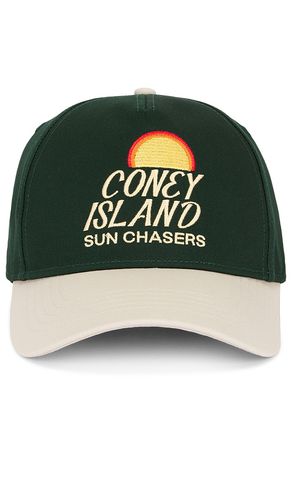 Sun Chasers Curved Snapback in - Coney Island Picnic - Modalova