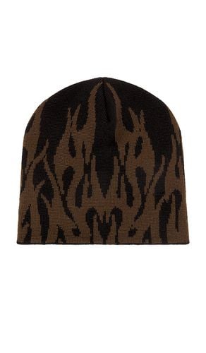 Intarsia Beanie in - Coney Island Picnic - Modalova