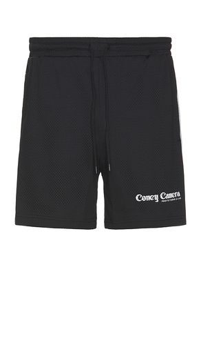 Camera 5.5 Mesh Short in . Taglia XL - Coney Island Picnic - Modalova