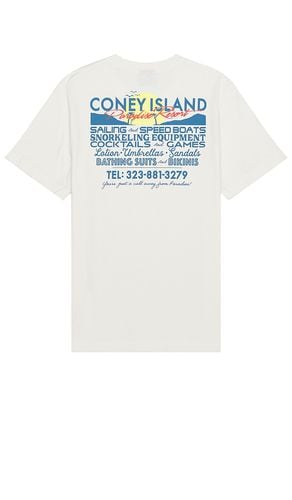 SHIRTKLEIDER in . Size M, S - Coney Island Picnic - Modalova