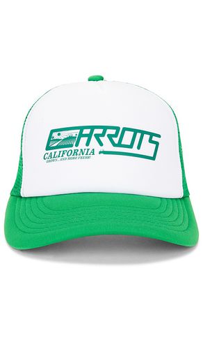 Sombrero en color verde talla all en - Green. Talla all - Carrots - Modalova