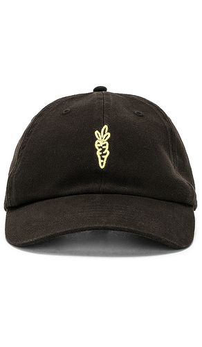 Carrots Wordmark Dad Cap in Black - Carrots - Modalova