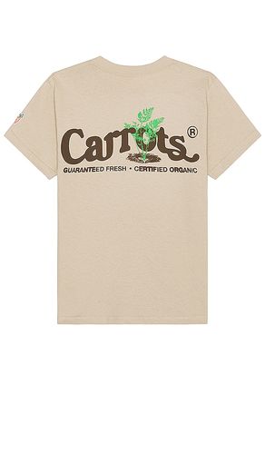 Guaranteed T-shirt in . Size M, L, XL/1X - Carrots - Modalova