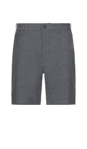 Coz Short in . Size 36 - Cuts - Modalova