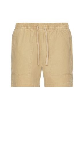 Leisure Walk Shorts in . Taglia M, S, XL/1X - Duvin Design - Modalova