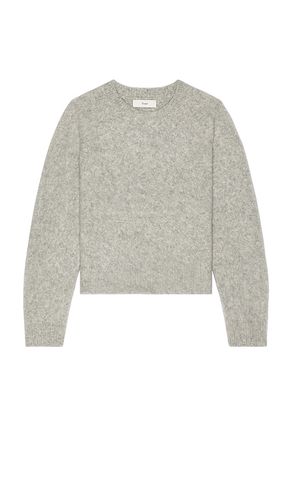 Shaggy Dog Sweater in . Taglia M - Dunst - Modalova