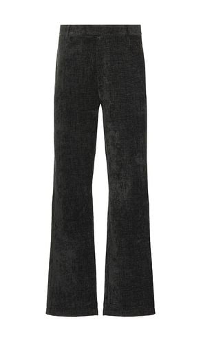 Zuri Velvet Pants in . Taglia S, XL/1X - Daily Paper - Modalova