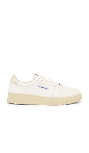 Court Off White in . Size 8, 9 - East Pacific Trade - Modalova