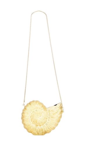 Kahala Circular Sea Shell in - Emm Kuo - Modalova