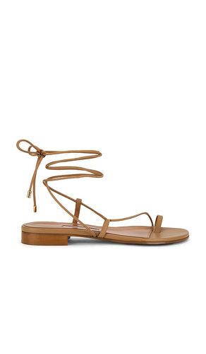 Susan Sandal in . Size 36. Also in 37, 38, 40 - Emme Parsons - Modalova