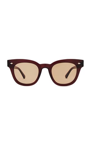 Epokhe Dylan Sunglasses in Brown - Epokhe - Modalova