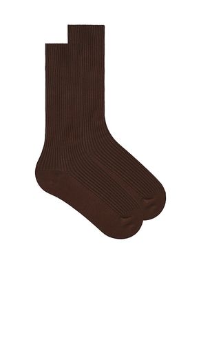 Eterne Classic Rib Socks in Brown - Eterne - Modalova