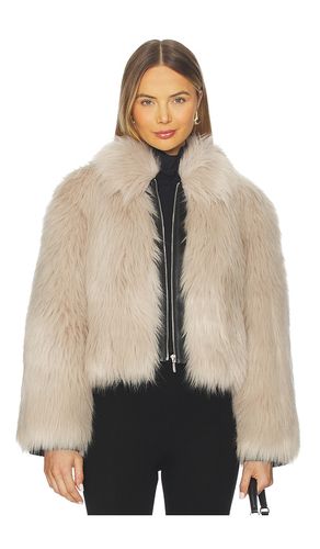 Yaes Combo Jacket in . Size S. Also in XS, M, L - ET OCHS - Modalova