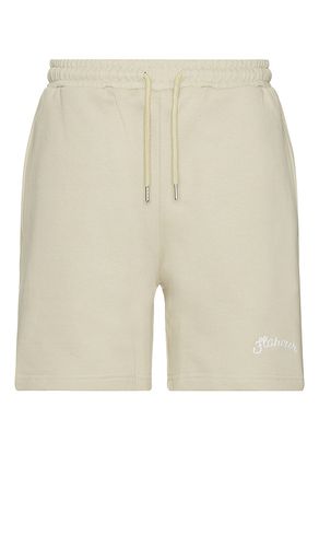 Signature shorts en color crema talla L en - Cream. Talla L (también en M, XL/1X) - FLANEUR - Modalova