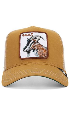 The Goat Hat in - Goorin Brothers - Modalova