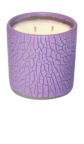 Crackle Candle in - Houseplant - Modalova