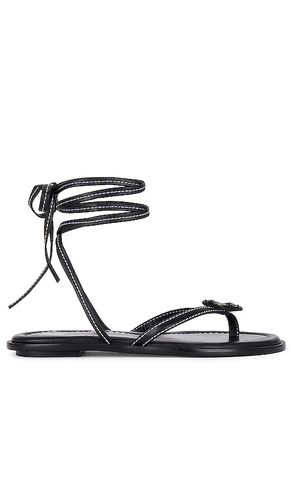 Lace Up Sandal in . Size 35.5, 36.5 - Helsa - Modalova