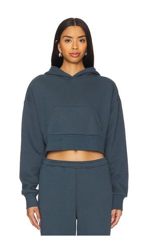 Cropped Hoodie in . Size M, S, XL, XS - IVL Collective - Modalova