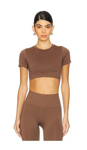 Seamless T-shirt Bra in . Taglia XL, XS/S - IVL Collective - Modalova