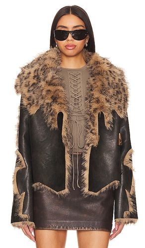 Indie Faux Fur Coat in . Taglia S, XS - Jaded London - Modalova