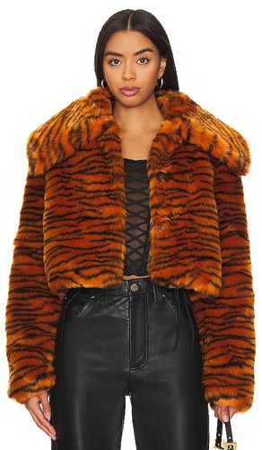 Faux Fur Coat in . Size XS - Kim Shui - Modalova
