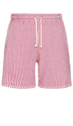 Striped knit shorts en color rosado talla L en - Pink. Talla L (también en M, S, XL/1X) - KROST - Modalova