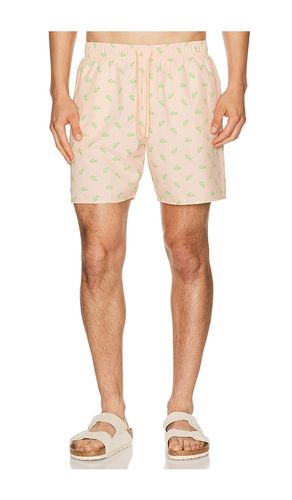 Swim Short in . Size M. Also in XL/1X - Lacoste - Modalova