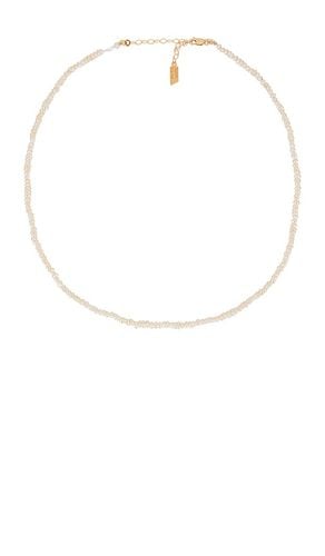 Baby Pearl Choker in - Loren Stewart - Modalova