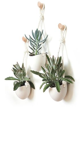 Macetero spora en color blanco talla all - Light + Ladder - Modalova