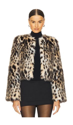 Purrla Faux Fur Jacket in . Size M, S, XL, XS - LOBA - Modalova