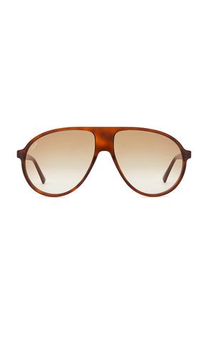 Lexxola Bella Sunglasses in Brown - Lexxola - Modalova