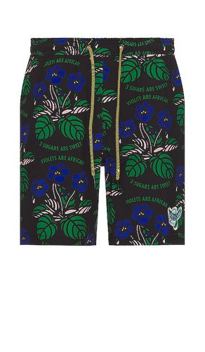 Sugars surf trunk en color negro talla L en - Black. Talla L (también en M, XL/1X) - Mami Wata - Modalova