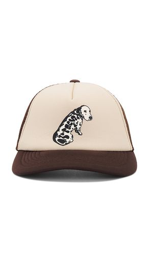 Sombrero en color talla all en - Brown. Talla all - Market - Modalova