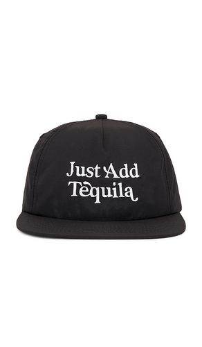 Just Add Tequila Snapback Hat in - Motel Margarita - Modalova