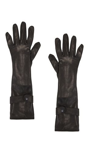 Medium Length Leather Gloves in . Size 7.5 - MANOKHI - Modalova