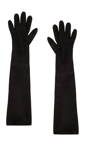 Long Velvet Gloves in . Size 7, 7.5, 8 - MANOKHI - Modalova