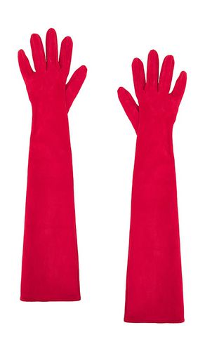 Long Suede Gloves in . Taglia 7, 7.5, 8 - MANOKHI - Modalova