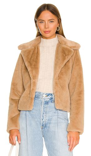 Payton Faux Fur Jacket in . Size XL - MORE TO COME - Modalova
