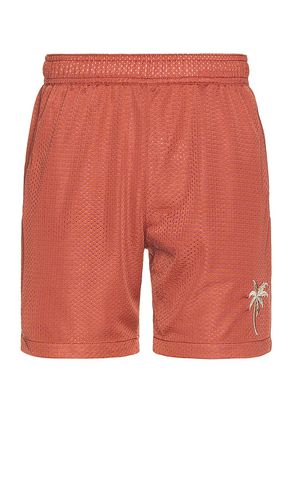 Side Stripe Mesh Short in . Taglia M, S, XL/1X - Marine Layer - Modalova