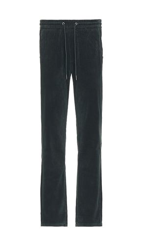 Saturday Corduroy Slim Straight Pant in . Size M, S, XL/1X - Marine Layer - Modalova